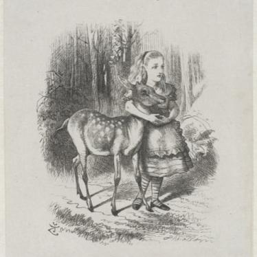 miniature worlds 2.jpeg